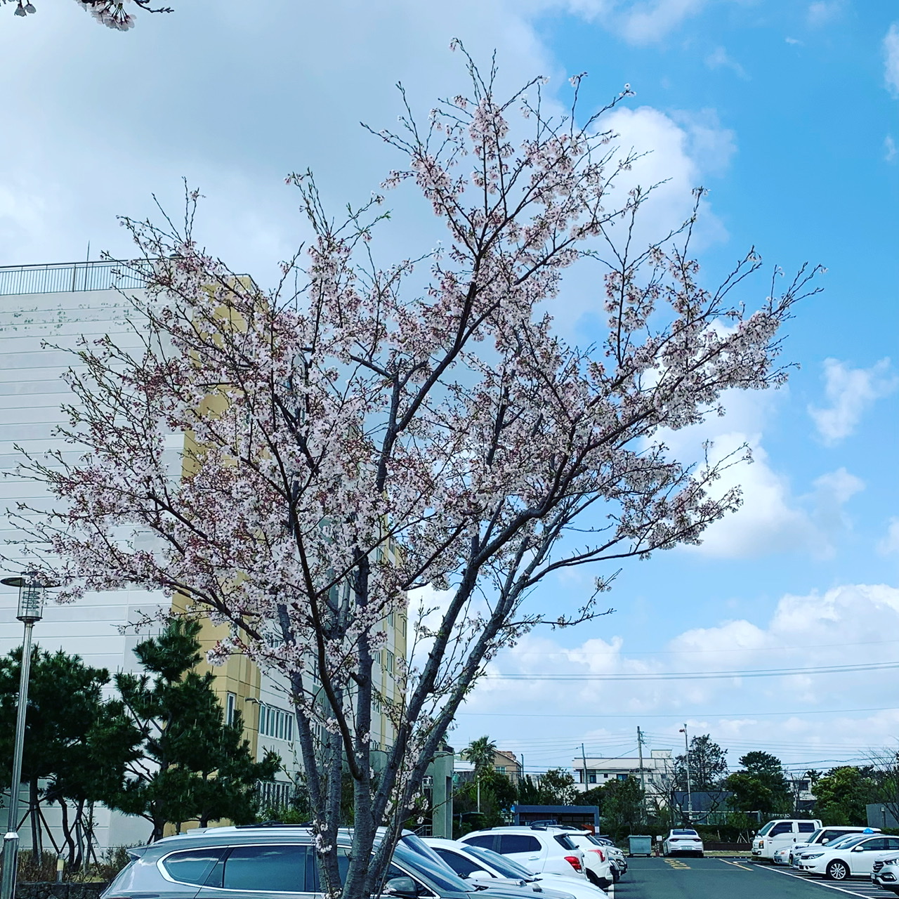 32989926-AB6C-47EA-9665-4D6DA5A5B4D2.jpeg