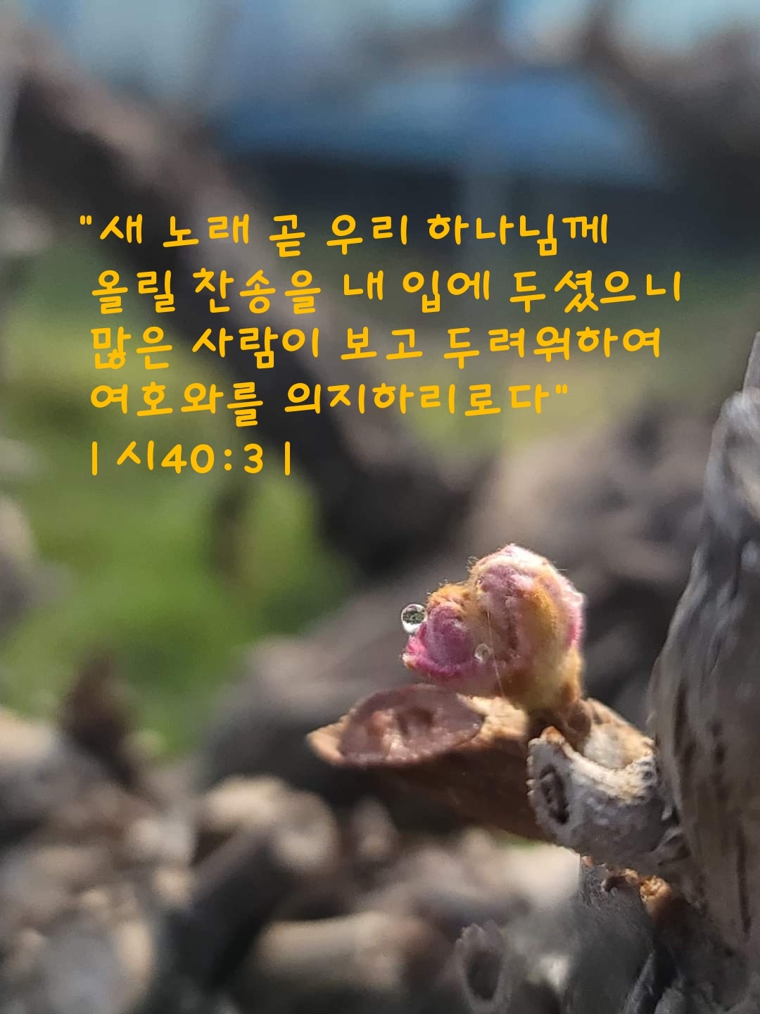 KakaoTalk_20230407_102234207.jpg